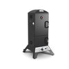 Vertical Gas Smoker